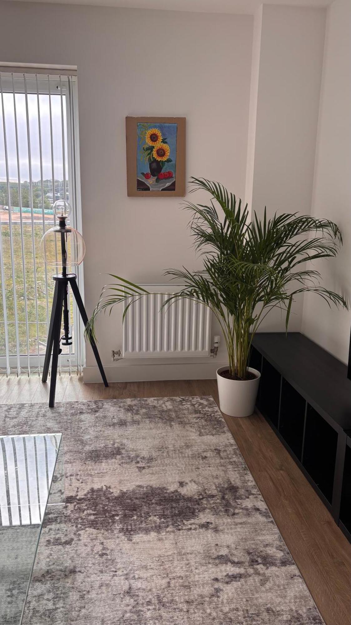 Apartment One Bedroom Parkway Luton (Bedfordshire)